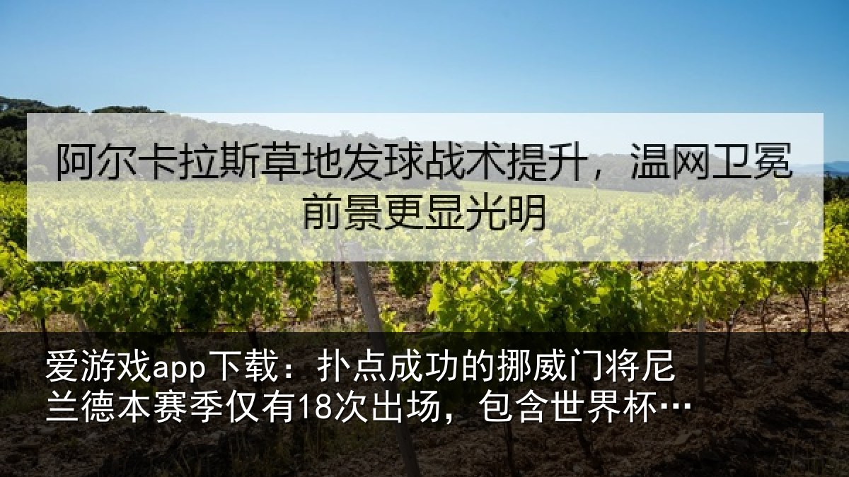 爱游戏app下载:扑点成功的挪威门将尼兰德本赛季仅有18次出场,包含世界杯3场