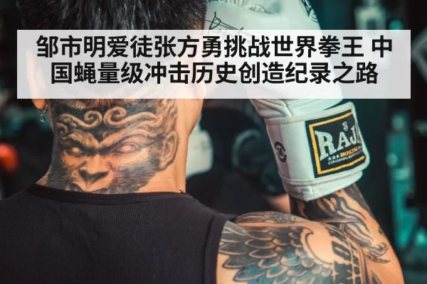 chinese boxer