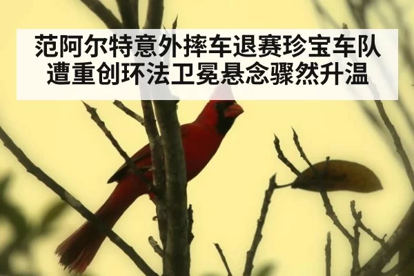 范阿尔特意外摔车退赛珍宝车队遭重创环法卫冕悬念骤然升温